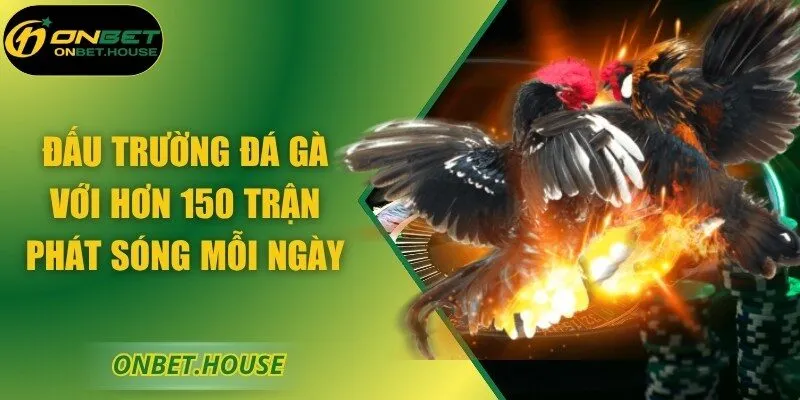 Đấu trường đá gà với hơn 150 trận phát sóng mỗi ngày